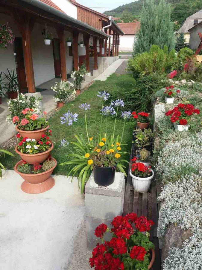 Sator-Hegy Vendeghaz Hotel Abaujszanto Ngoại thất bức ảnh